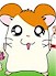 Hamtaro